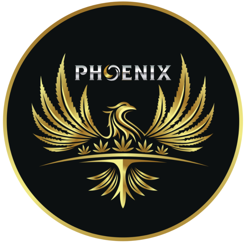 Phoenix Nails & Spa Luxury | Nail Salon in Acworth, GA 30101
